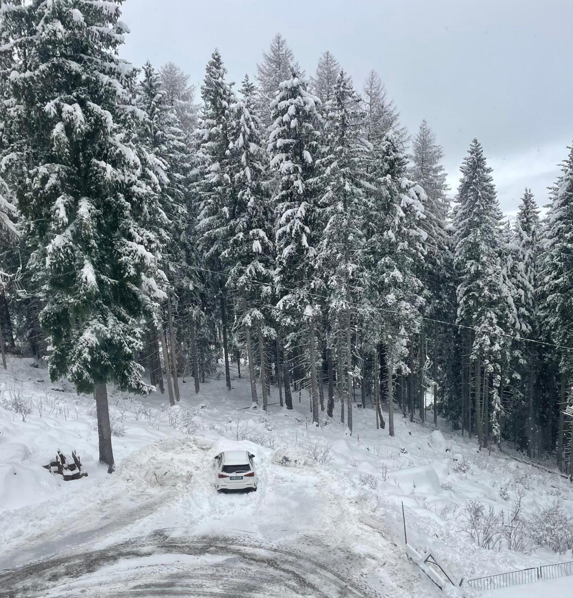 Sole Alto Marilleva Daire Mezzana  Dış mekan fotoğraf